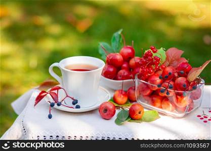 Sunny good morning. A white cup of hot tea with apples of paradise in the morning in the garden, with a blurred natural background.. Sunny good morning. A white cup of hot tea with apples of paradise in the morning in the garden.