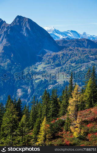 Sunny idyllic autumn alpine scene. Peaceful Alps mountain view from hiking path from Dorfgastein to Paarseen lakes, Land Salzburg, Austria. Picturesque hiking seasonal, nature beauty concept scene.