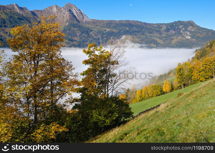 Sunny idyllic autumn alpine scene. Peaceful misty morning Alps mountain view from hiking path from Dorfgastein to Paarseen lakes, Land Salzburg, Austria. Picturesque hiking and seasonal concept scene.