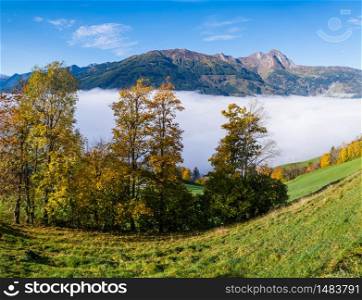 Sunny idyllic autumn alpine scene. Peaceful misty morning Alps mountain view from hiking path from Dorfgastein to Paarseen lakes, Land Salzburg, Austria. Picturesque hiking and seasonal concept scene.