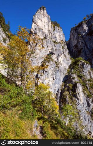 Sunny idyllic colorful autumn alpine scene. Peaceful rocky mountain view from hiking path near Almsee lake, Upper Austria.