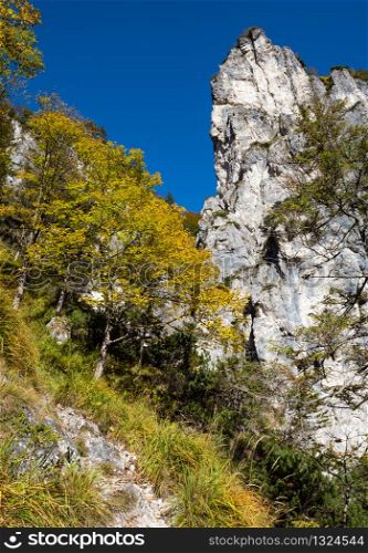 Sunny idyllic colorful autumn alpine scene. Peaceful rocky mountain view from hiking path near Almsee lake, Upper Austria.