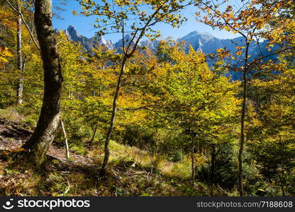 Sunny idyllic colorful autumn alpine scene. Peaceful rocky mountain view from hiking path near Almsee lake, Upper Austria.