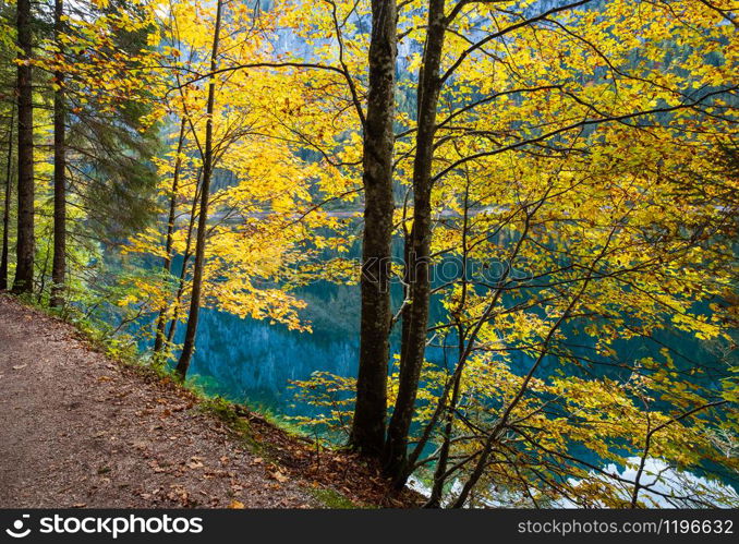 Sunny idyllic colorful autumn alpine view. Peaceful mountain lake with clear transparent water and reflections. Gosauseen or Vorderer Gosausee lake, Upper Austria. Dachstein summit and glacier in far.