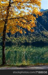 Sunny idyllic colorful autumn alpine view. Peaceful mountain lake with clear transparent water and reflections. Almsee lake, Upper Austria.