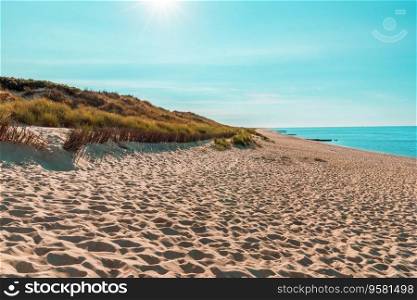 Sunny landscape on Sylt island with the beautiful beach and a blue sky, on a sunny day