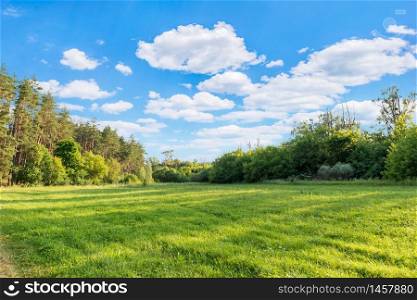 Sunny meadow in forest and cloudy sky. Sunny meadow in forest