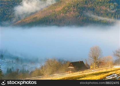 Sunny morning landscape with wooden hut in forested mountains covered with fog, Carpathians, Ukraine