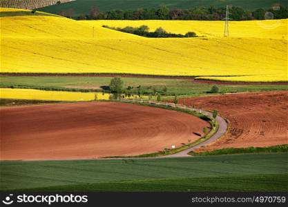 Sunny morning. Spring farmland on hills of South Moravia. Czech green and yellow spring fields. Rural agriculture scene