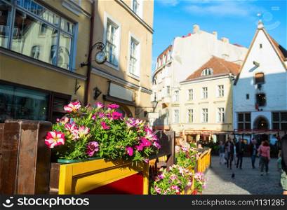 Sunny Old Town street view, flowers by restaurant, people sightseeing, Tallinn, Estonia