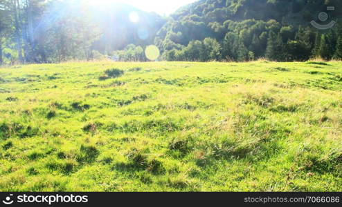 Sunny pasture landscape in the mountains