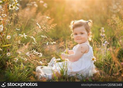 Sunny photo of a girl among dandelions in a field.. A little girl is playing in a field with dandelions 3012.