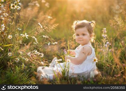 Sunny photo of a girl among dandelions in a field.. A little girl is playing in a field with dandelions 3013.