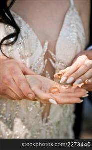 Sunny photo of the newlyweds holding hands.. Gentle embrace of the hands of the newlyweds 3907.