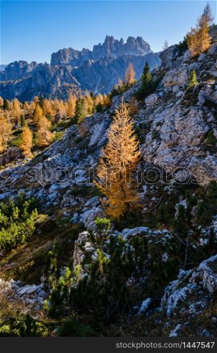 Sunny picturesque autumn alpine Dolomites rocky mountain view from hiking path from Giau Pass to Cinque Torri (Five pillars or towers) rock famous formation, Sudtirol, Italy.
