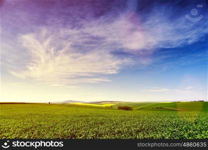 Sunny rural spring landscape. Green spring farmland on hills. Daylight clouds and sky. Green and yellow spring fields.