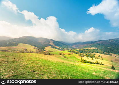 Sunny spring day. Green mountain valley. Beautiful spring landscape