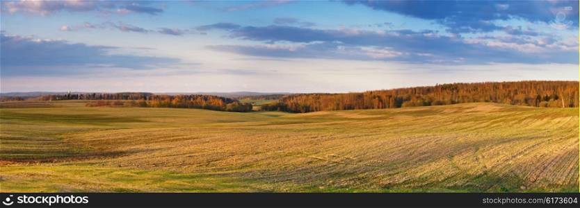 Sunny spring fields in the evening. Belarus