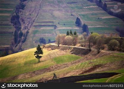Sunny spring in mountain village. Fields and hills. April in Ukraine Carpathians