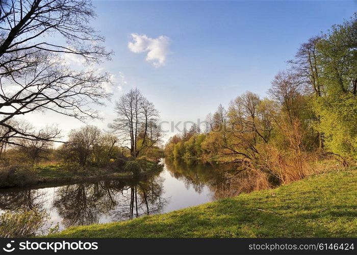 Sunny spring landscape. River in a green forest. Belarus