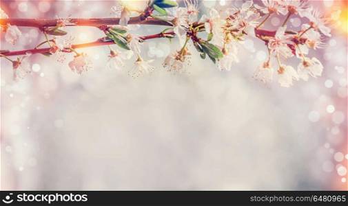 Sunny spring nature background with cherry blossom and bokeh