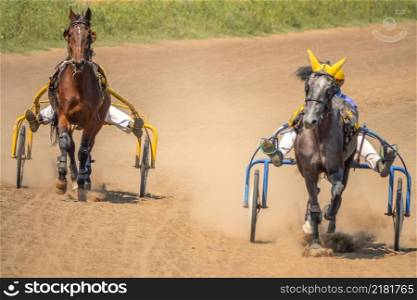 Sunny summer day at the hippodrome. Two horses harnessed to carts are runs. Two Horses Compete in Harness Racing on a Summer Day
