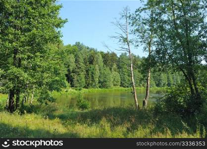 Sunny summer day, green trees and blue sky above a river.