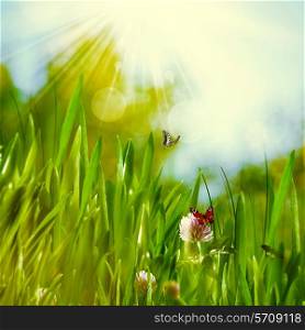 Sunny summer day on the meadow, abstract natural backgrounds