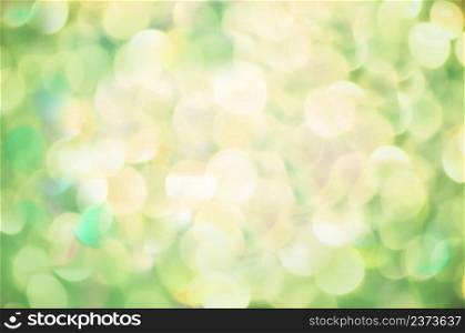 Sunny summer green forest blur background. Under the bright sun outdoor. Bio eco healthy nature blur background. Spring or summer abstract nature background