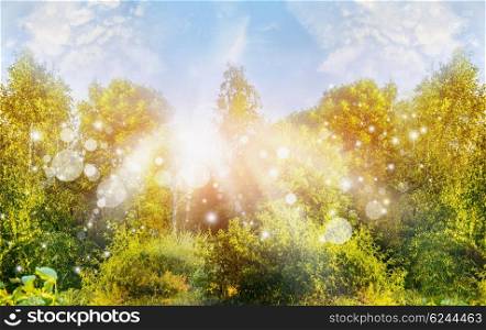 Sunny summer nature background with green trees ans sun rays