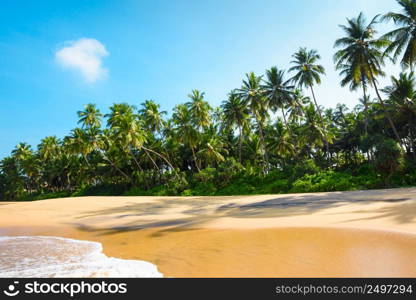 Sunny tropical beach