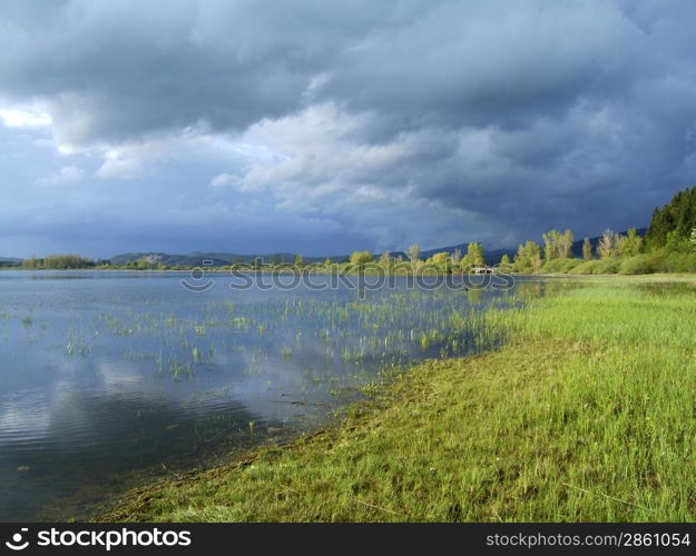 Sunny wetlands