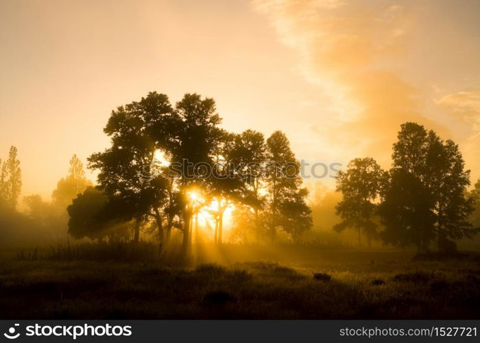 Sunrise at a farm in Villarrica, Pucon, Araucania Region, Chile, South America