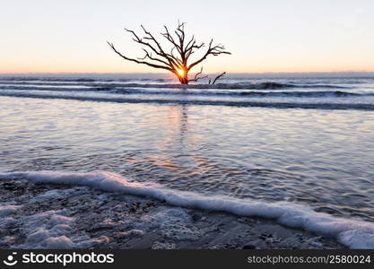 Sunrise at Botany Bay beach, Edisto Island, South Carolina, USA