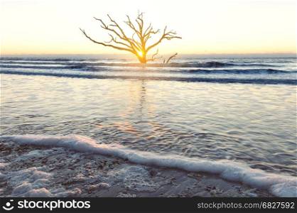 Sunrise at Botany Bay beach, Edisto Island, South Carolina, USA