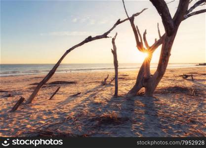 Sunrise at Folly Beach, James Island, South Carolina, USA