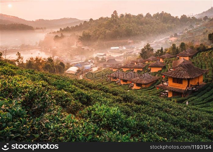 Sunrise at Lee wine Rak Thai, Chinese settlement, Mae Hong Son, Thailand
