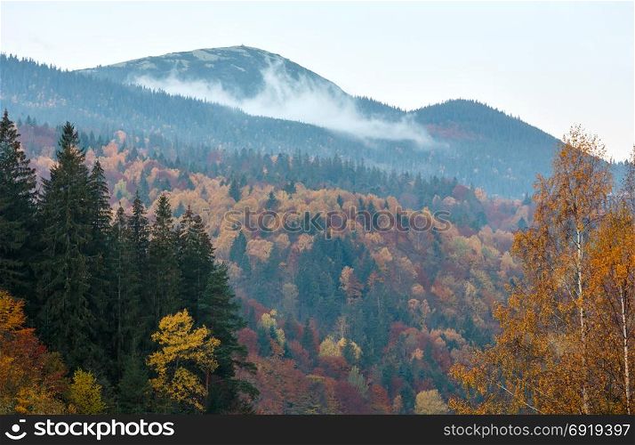 Sunrise autumn Carpathian Mountains landscape with colorful slope (Ivano-Frankivsk oblast, Ukraine).