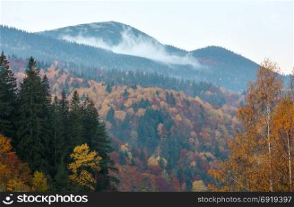 Sunrise autumn Carpathian Mountains landscape with colorful slope (Ivano-Frankivsk oblast, Ukraine).