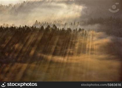 sunrise beams over fog in the national park Bohemian Switzerland, Czech Republic