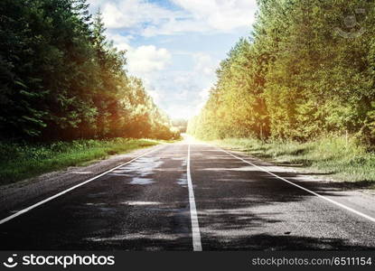 Sunrise beautiful road in forest. Sunrise beautiful road in forest. Summer landscape. Sunrise beautiful road in forest