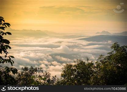 Sunrise foggy mist covered mountain forest landscape top view yellow sky background
