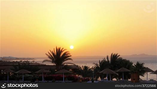 Sunrise from The Red sea and tropical landscape