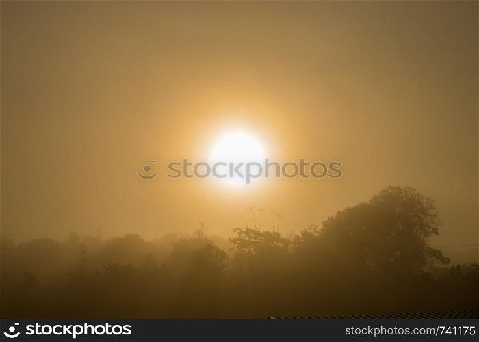 Sunrise in a foggy closeup