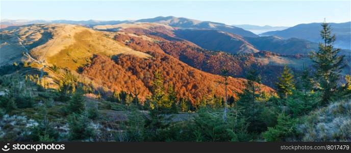 Sunrise in autumn Carpathian. Mountain top daybreak landscape with colorful trees on slope.