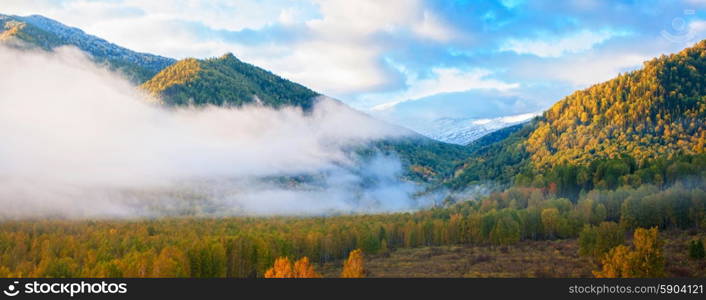 sunrise in taiga. sunrise in autumn taiga and mountains