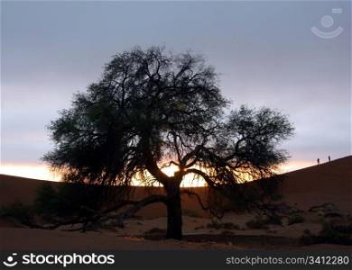 Sunrise in the desert: Sussusvlei, Namibia