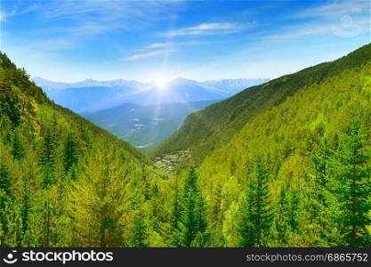 Sunrise in the picturesque mountains covered with forests