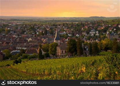 sunrise in the vineyards of Barr in Alsace