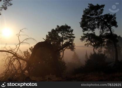 Sunrise in wild mountain forest in Turkey